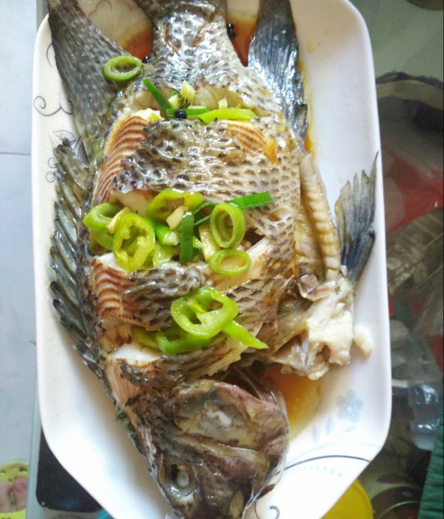 清蒸罗非鱼
