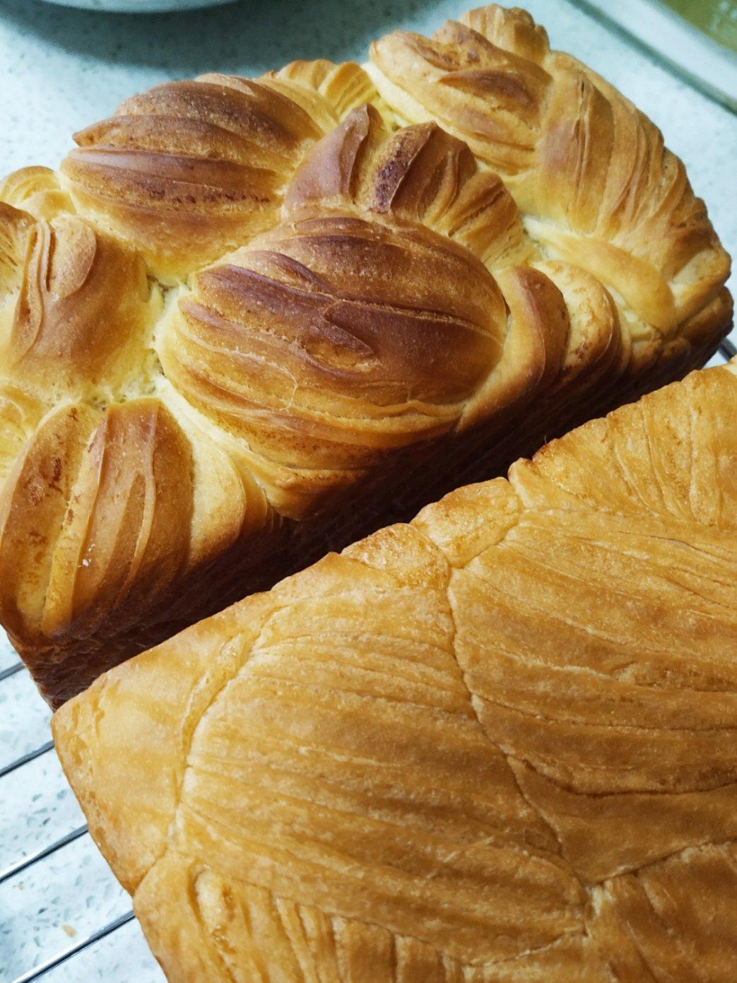 晴天做的丹麦吐司--第四次开酥过程记录