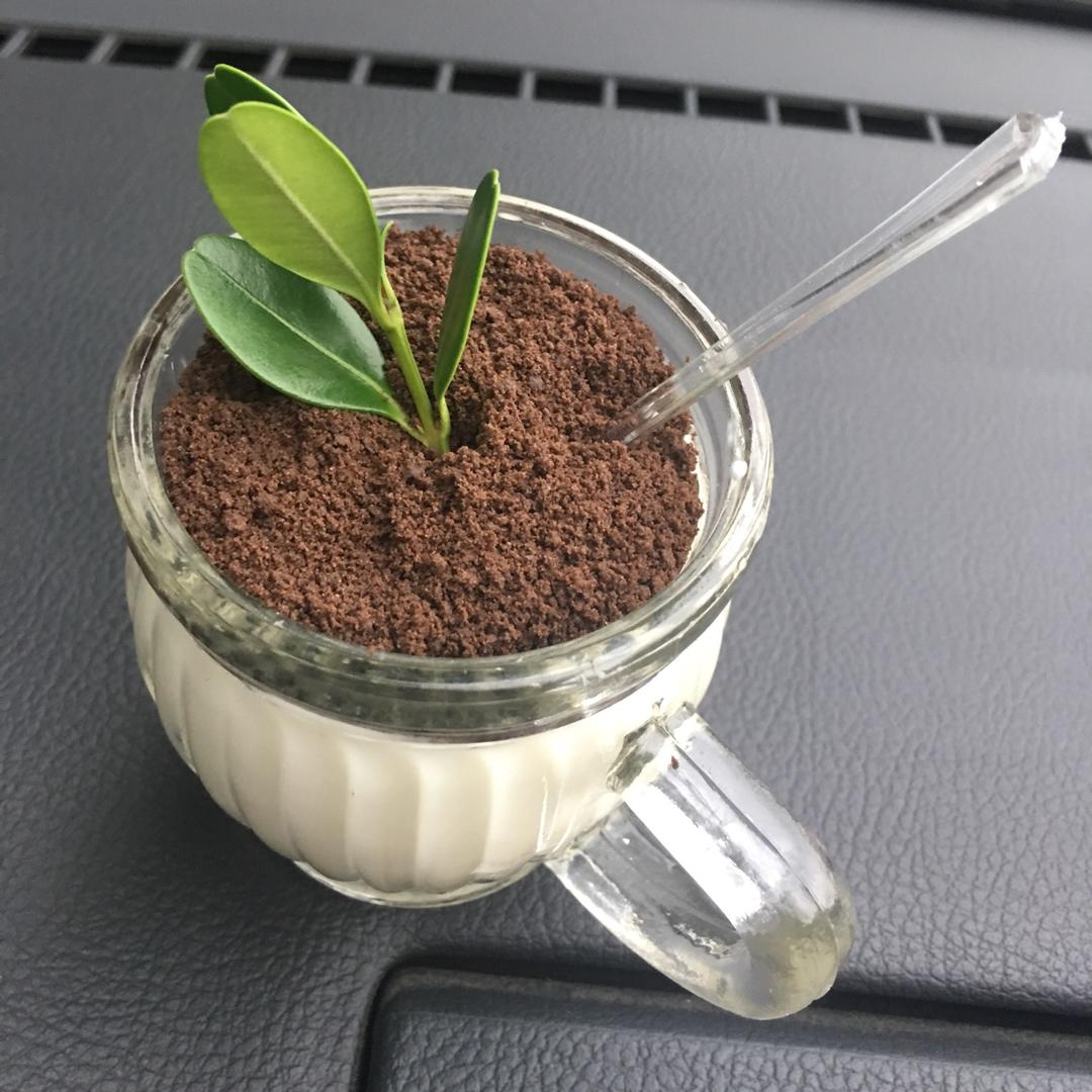 秀儿33做的盆栽酸奶