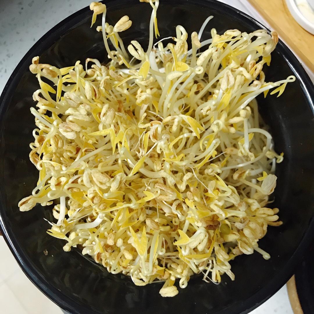 零失败自己发豆芽
