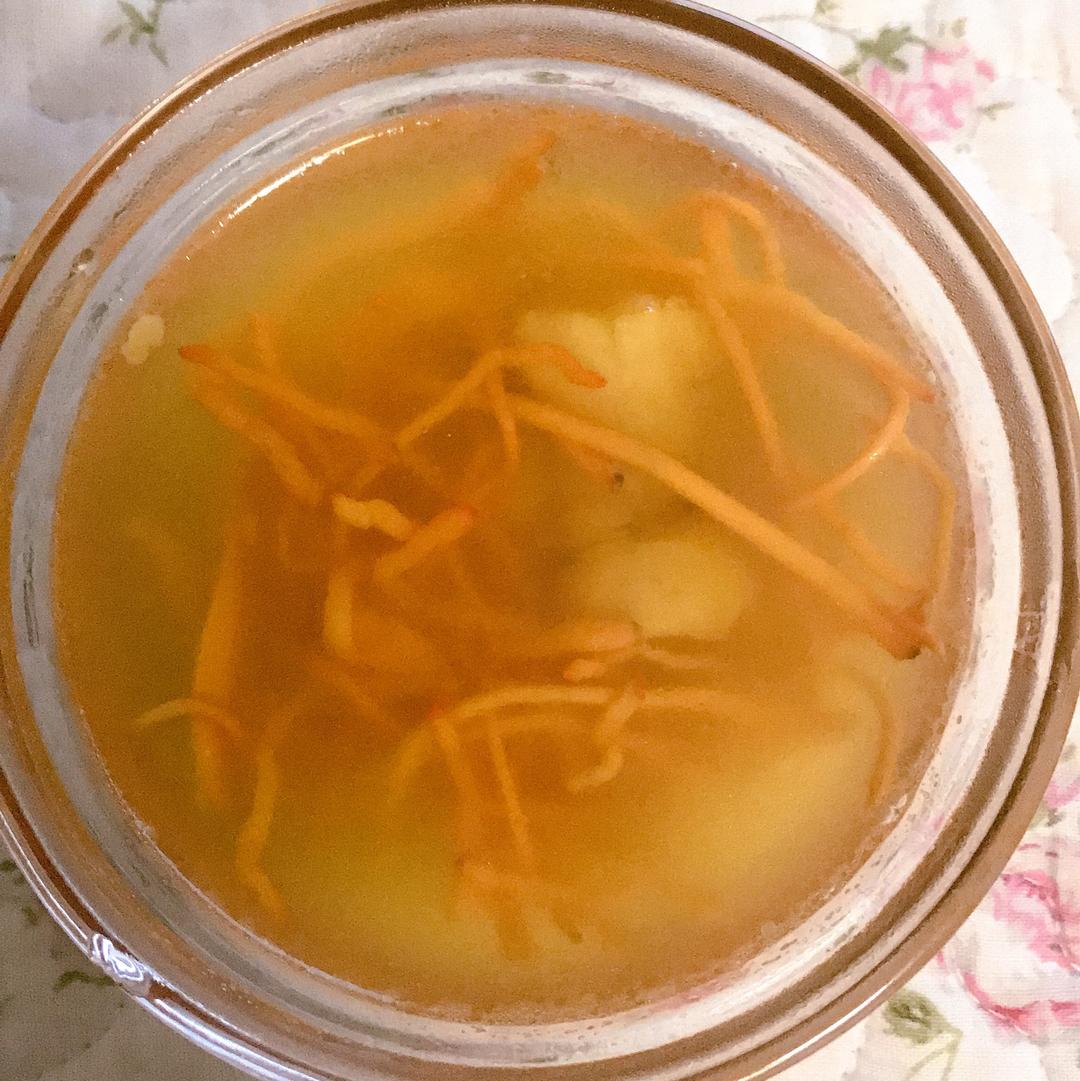 虫草花花胶汤 永葆青春的秘密