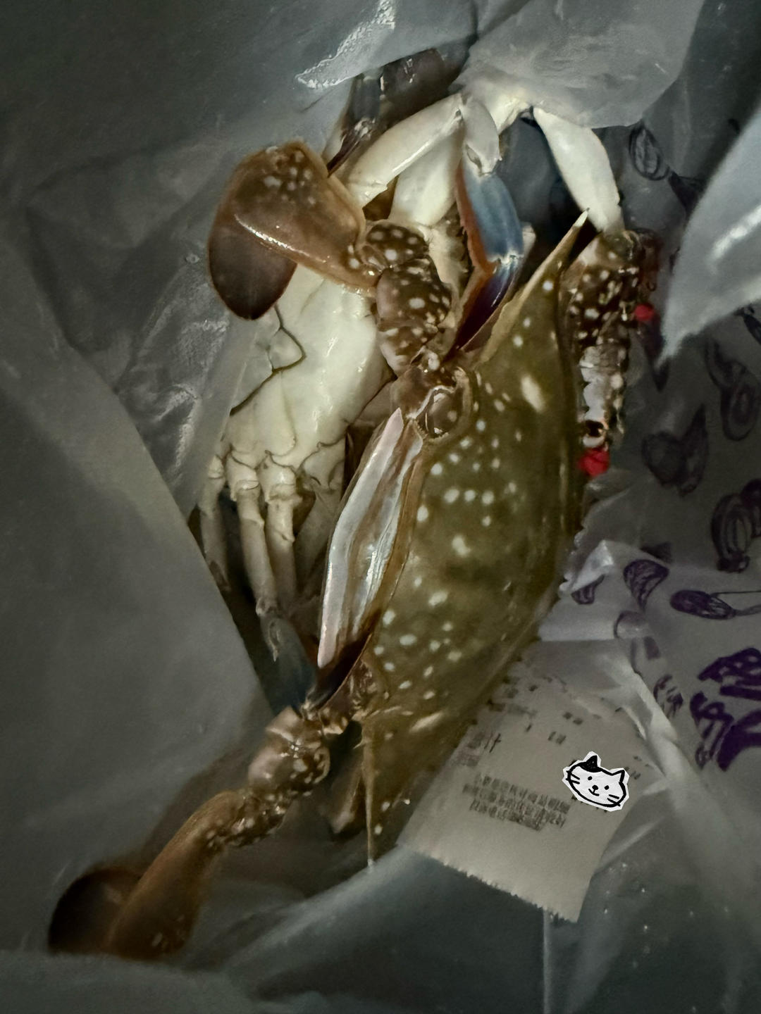 工作餐＋学生餐+一人食🍱🍱🍱