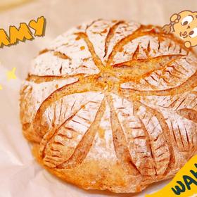 #100个欧包练习——免揉法式乡村面包