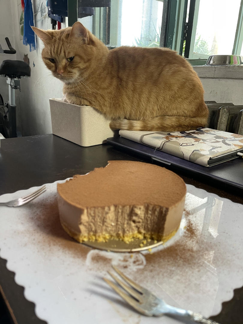 巧克力芝士慕斯