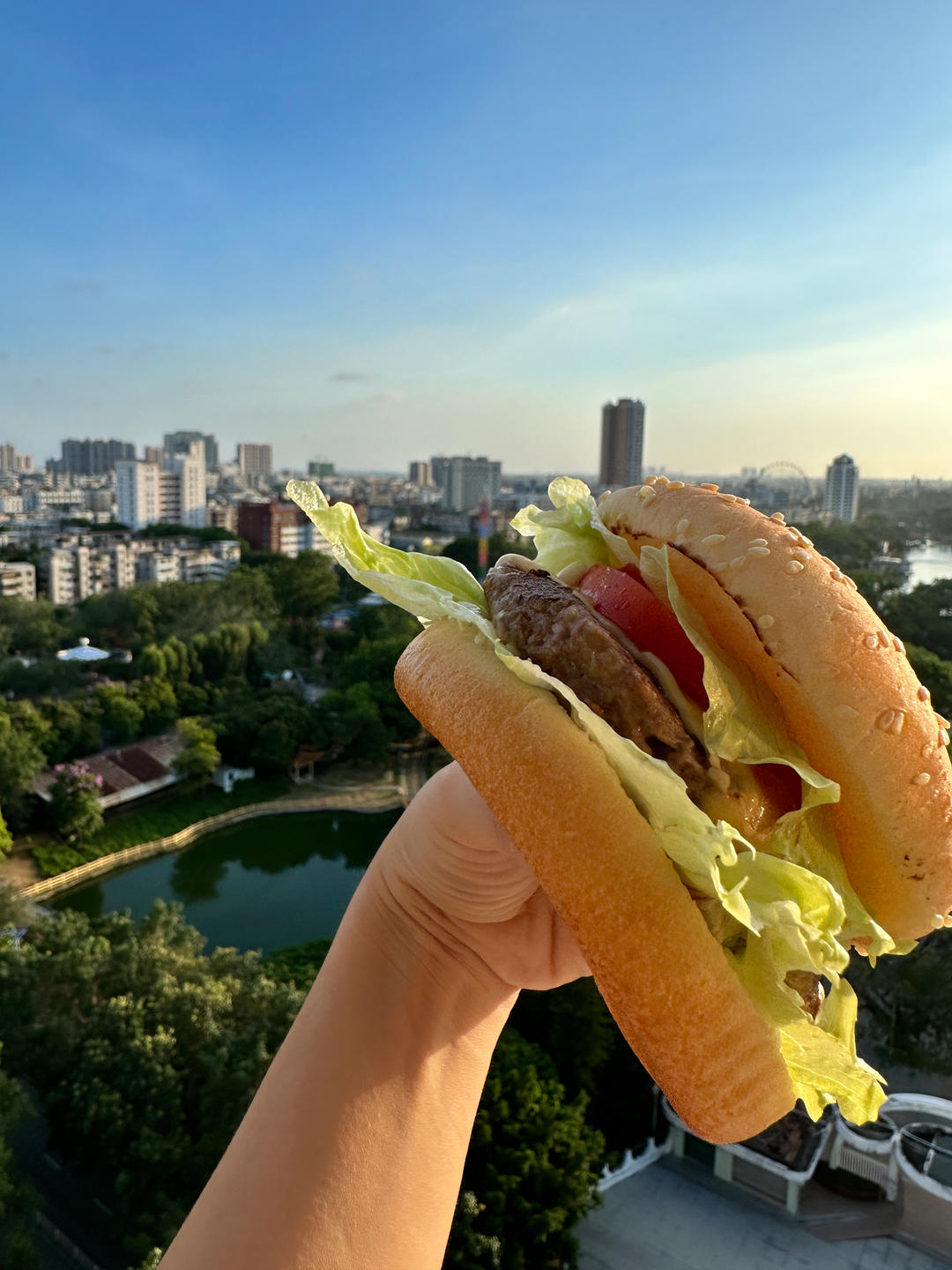 超详细汉堡牛肉饼｜附自制汉堡搭配#Healthymeals#减脂必撸16