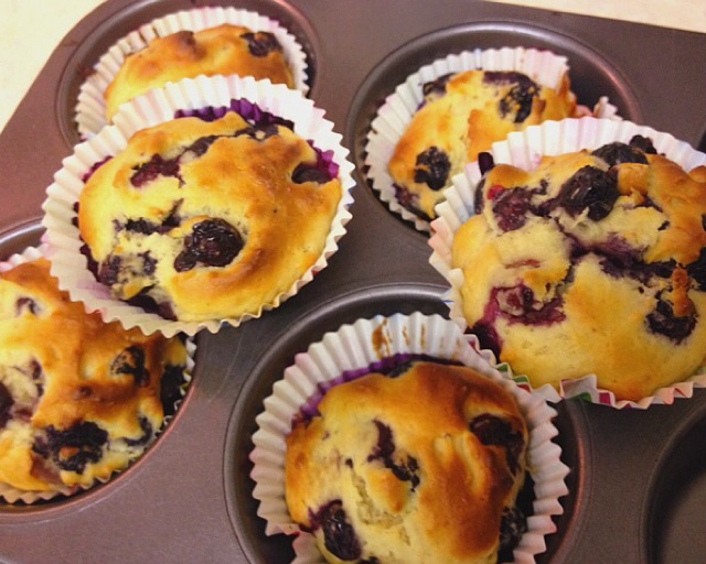 鲜奶油蓝莓纸杯蛋糕 Blueberry Crème  fraîche cupcake