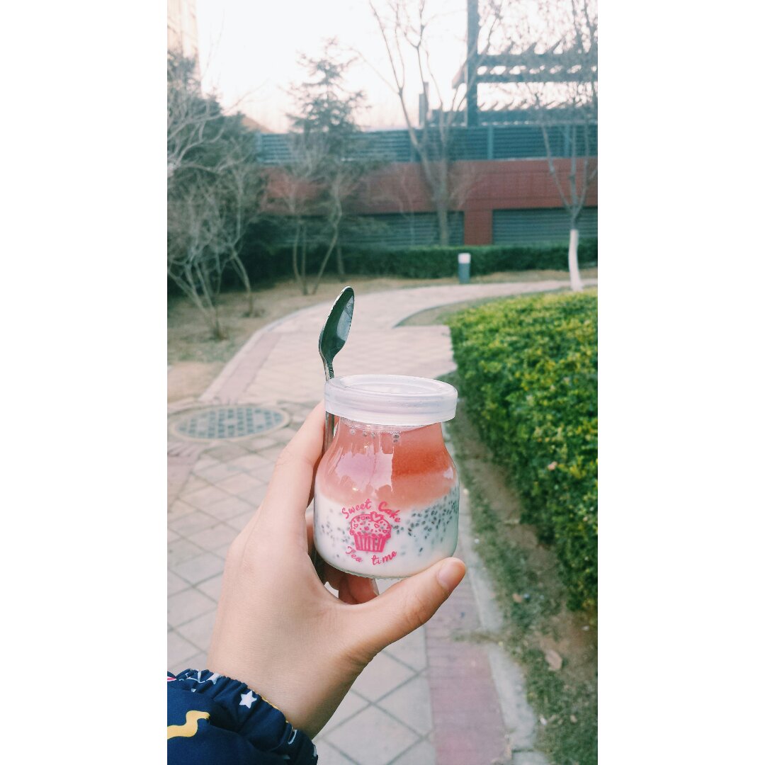 红酒酸奶