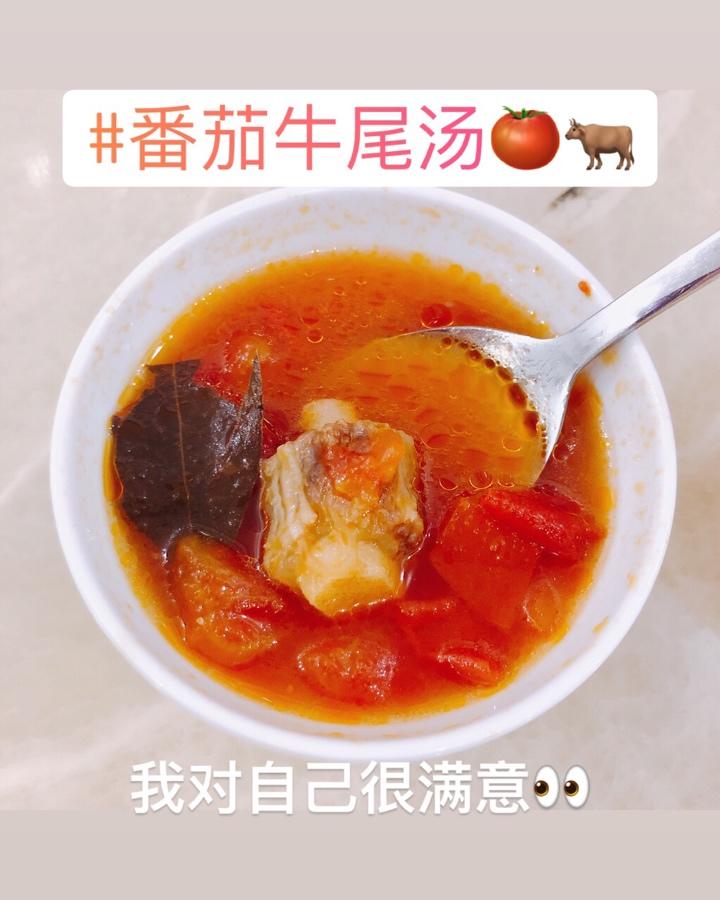 番茄牛尾汤--Staub珐琅铸铁锅
