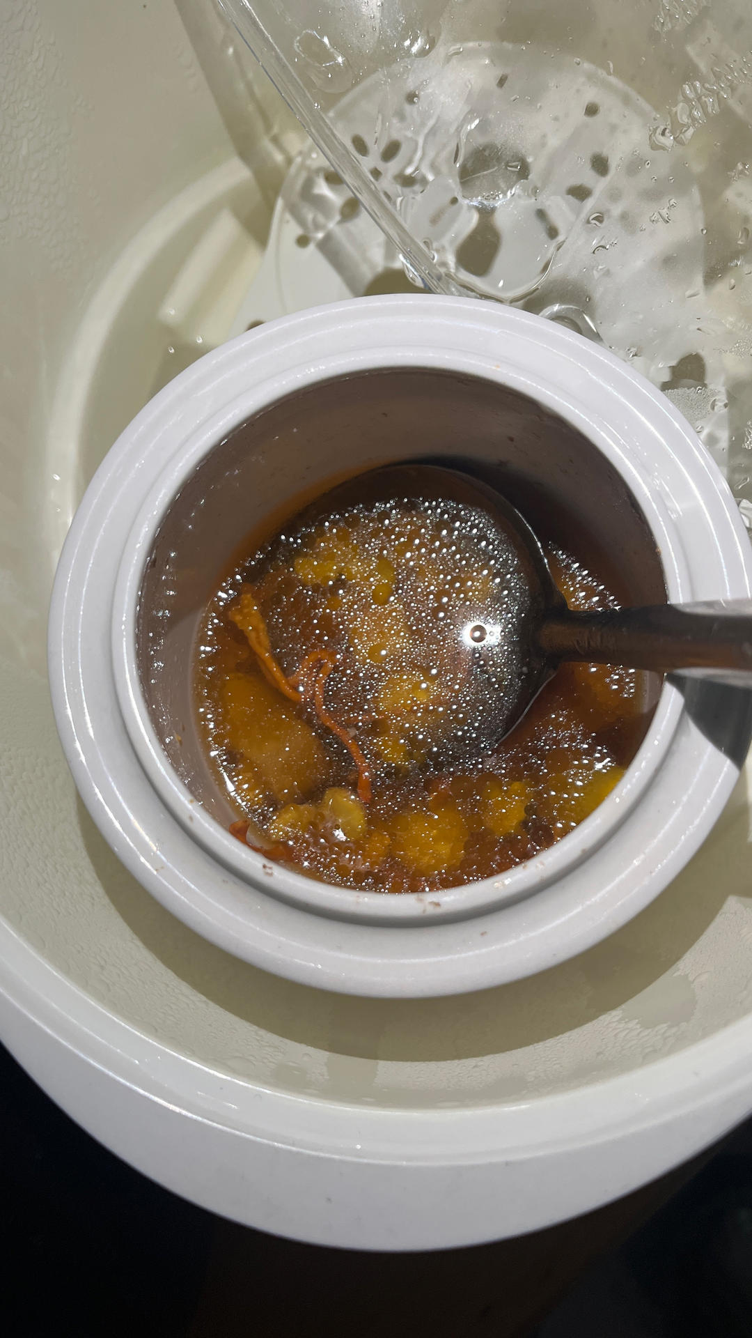 虫草花四物炖瘦肉汤（祛湿，润肺）