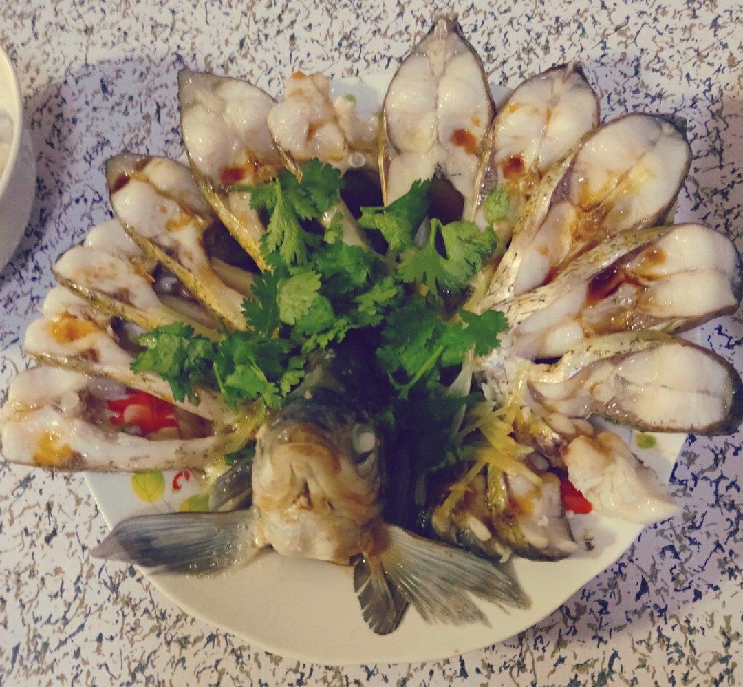 大富大贵开屏鱼