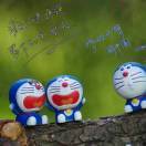 尘埃落定_urj6