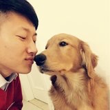 西兰花开