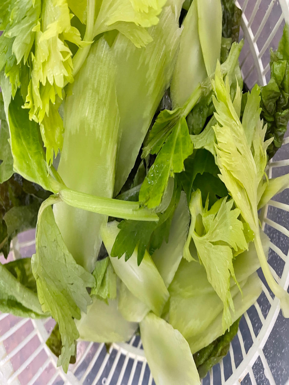 莴笋叶不要浪费，用来炒鸡蛋味道好，不涩不苦