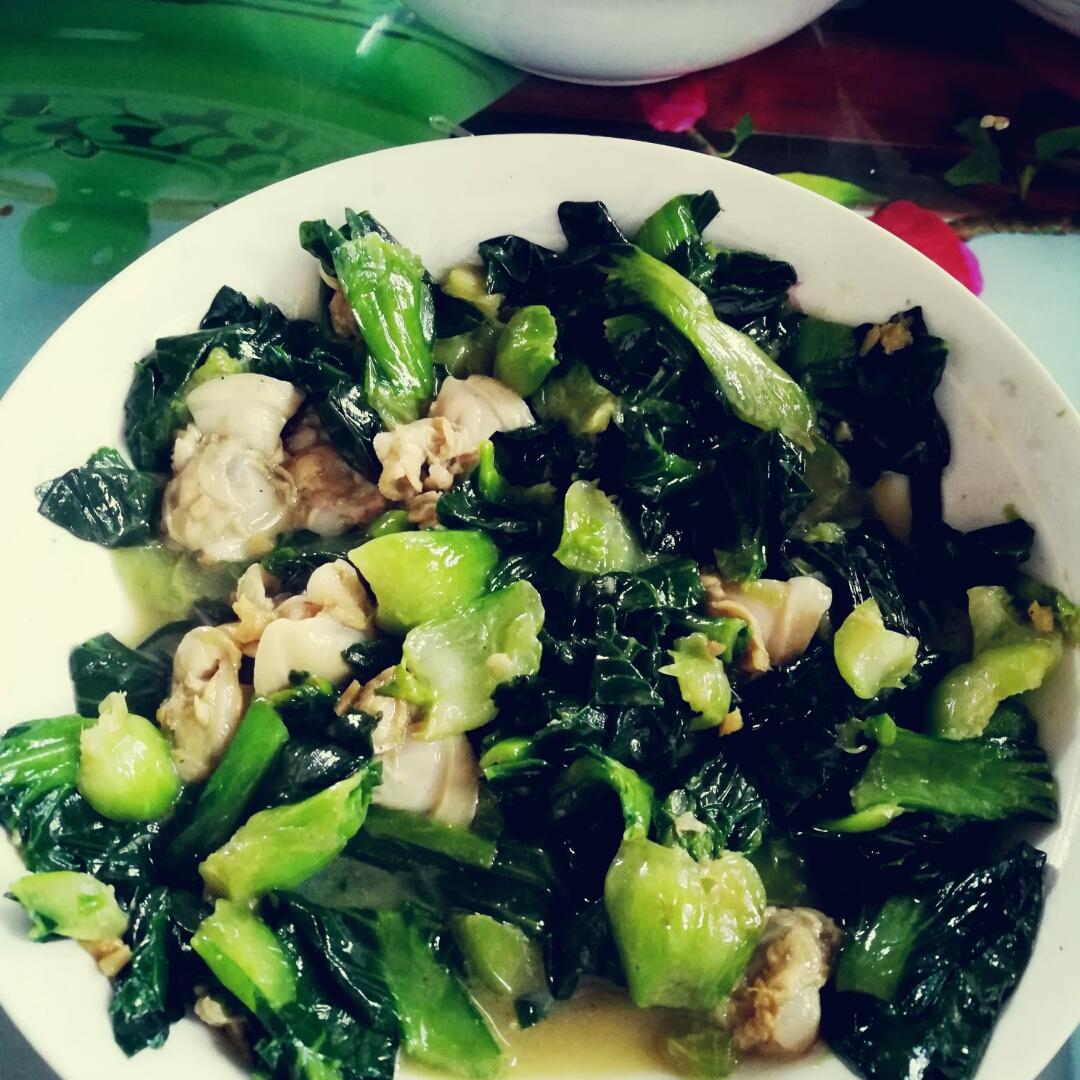 柠檬草精灵_odkv