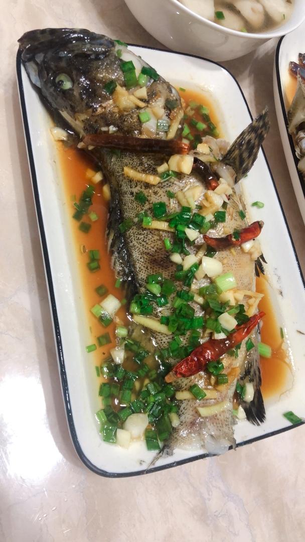 清蒸石斑鱼