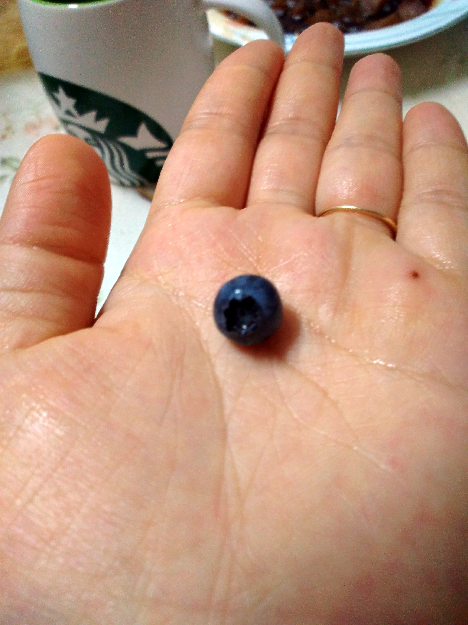 锅碗瓢盆交响曲