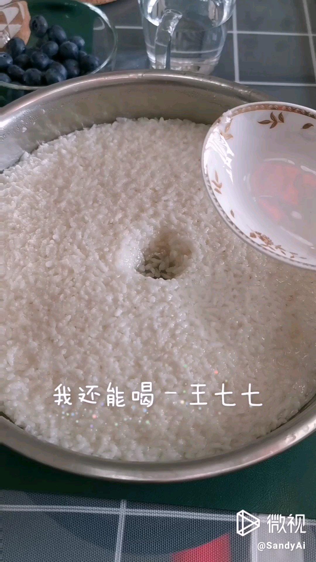 酒酿 (酒酿系列一）