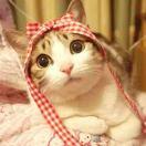 手机用户5023_13pk