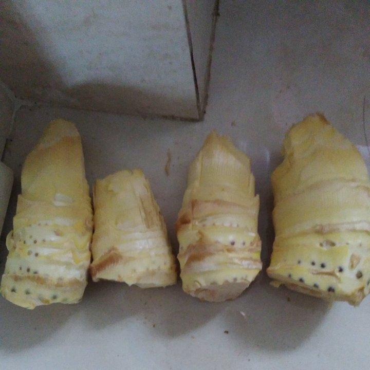 老饶家丨巧剥冬笋/春笋