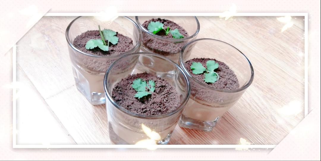 超Q弹嫩滑❗️巨好吃珍珠奶茶奶冻🥤入口即化