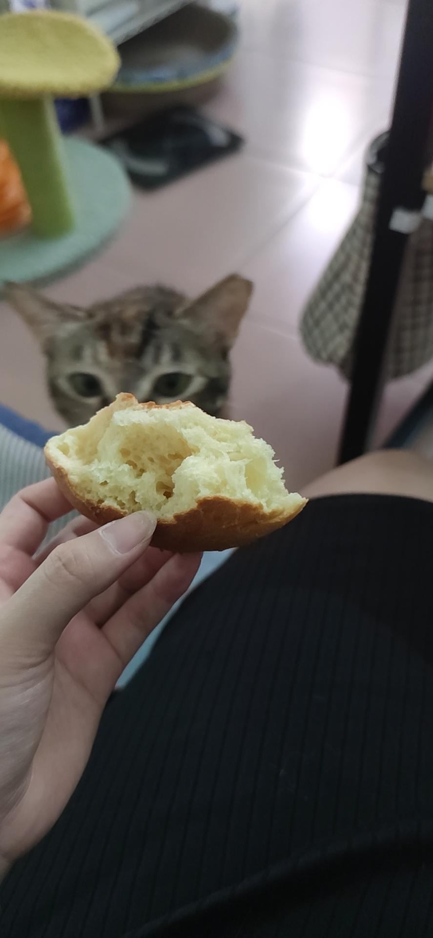 不用揉手套膜冷藏发酵省时省力懒人炼乳吐司