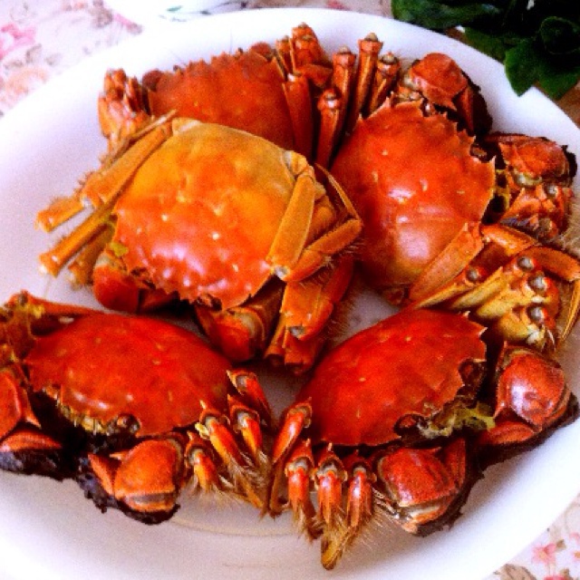 清蒸螃蟹