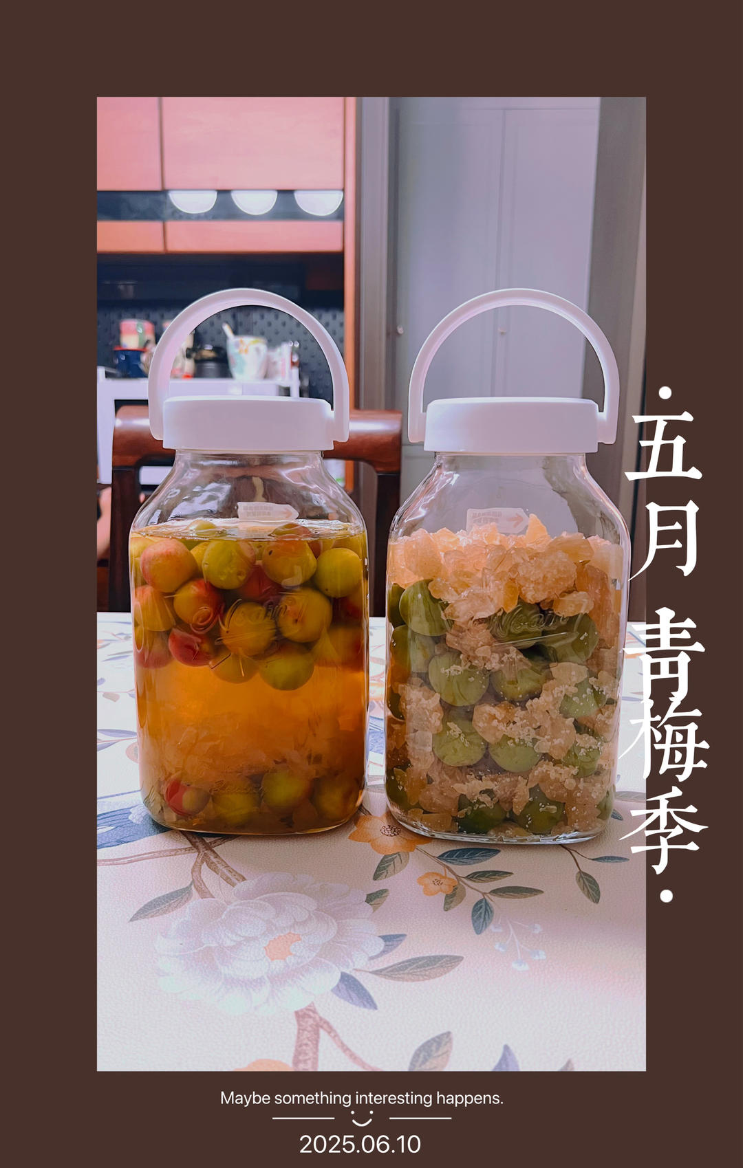 零失败【青梅酒 & 梅子露】梅子的沉淀岁月