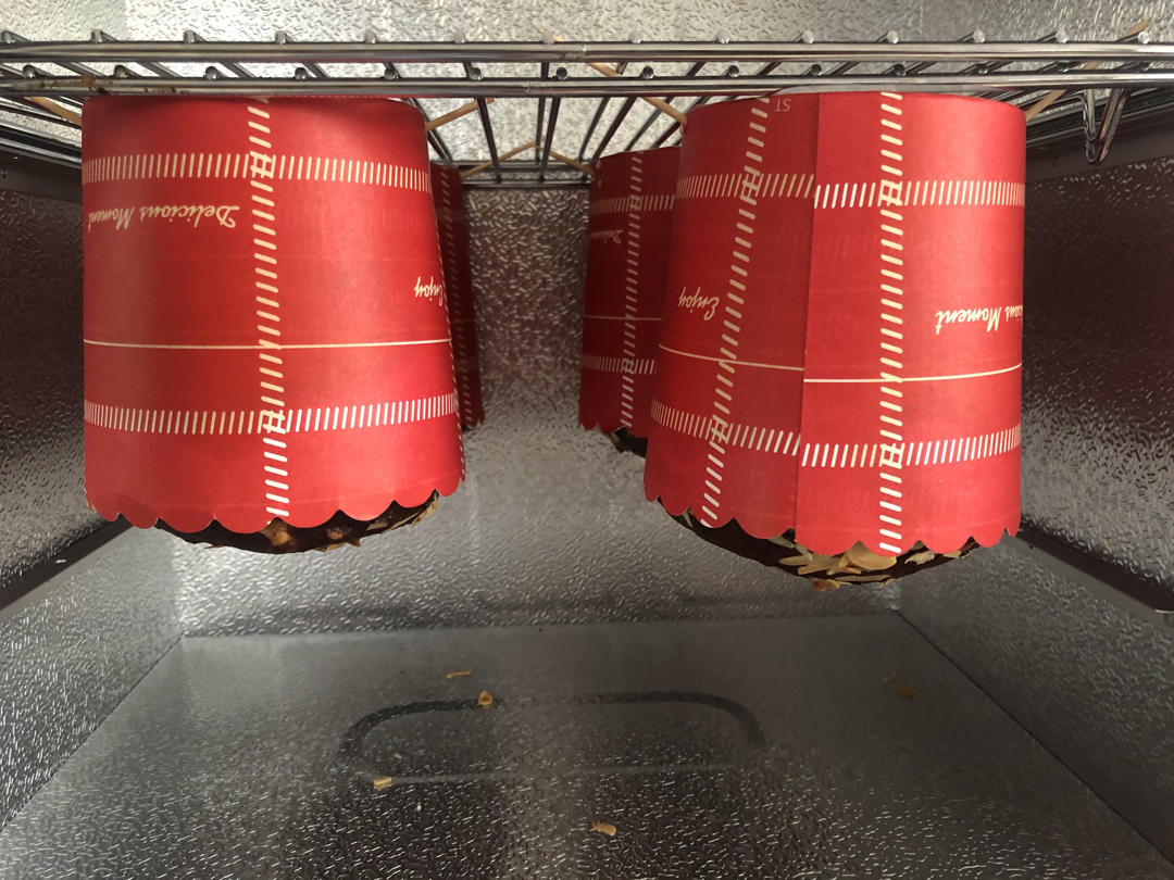 潘娜托尼 圣诞面包           Panettone（中种法）