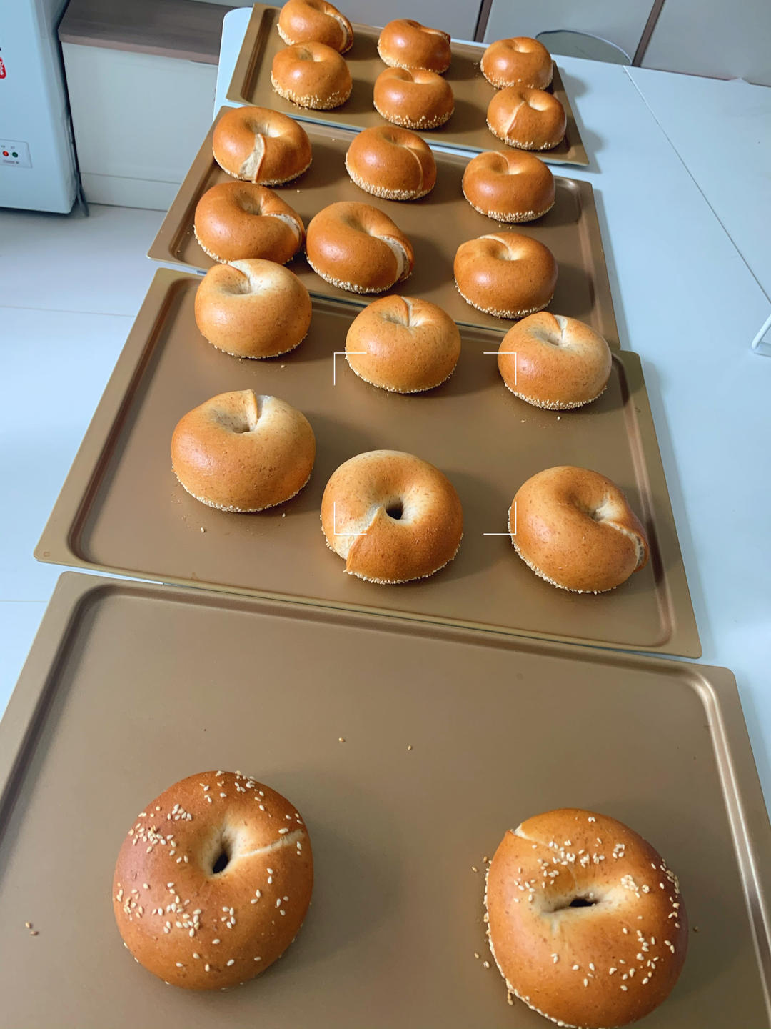 奶盐芝麻贝果🥯超香der～超快手～发酵时间短～超好吃😋