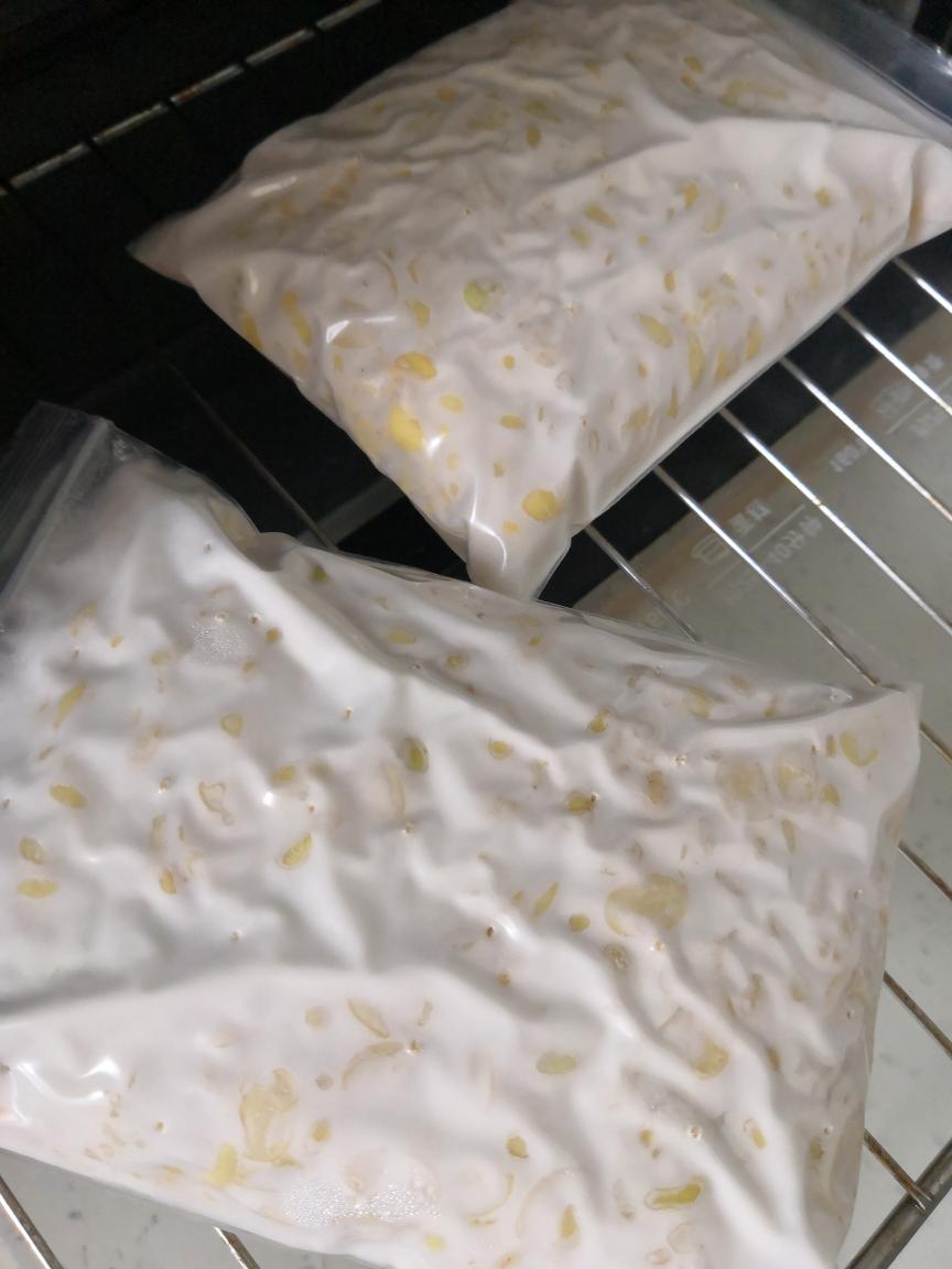 素食︶自制天贝，附天贝的各种吃法、营养特征，开了挂的营养‼️✅的做法