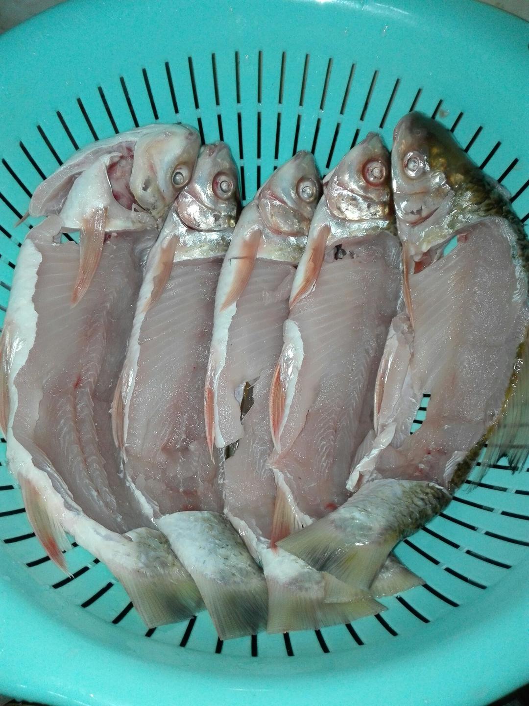 Q版-豆豉鲮鱼（多种鱼版本）