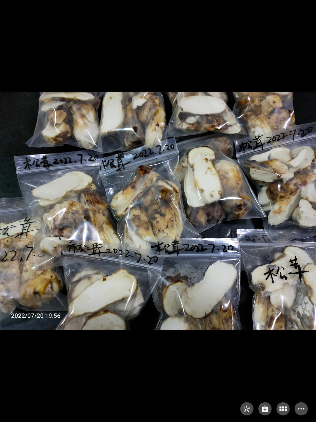 新鲜松茸的保存方法