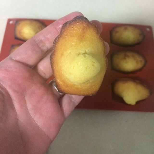 香橙玛德琳