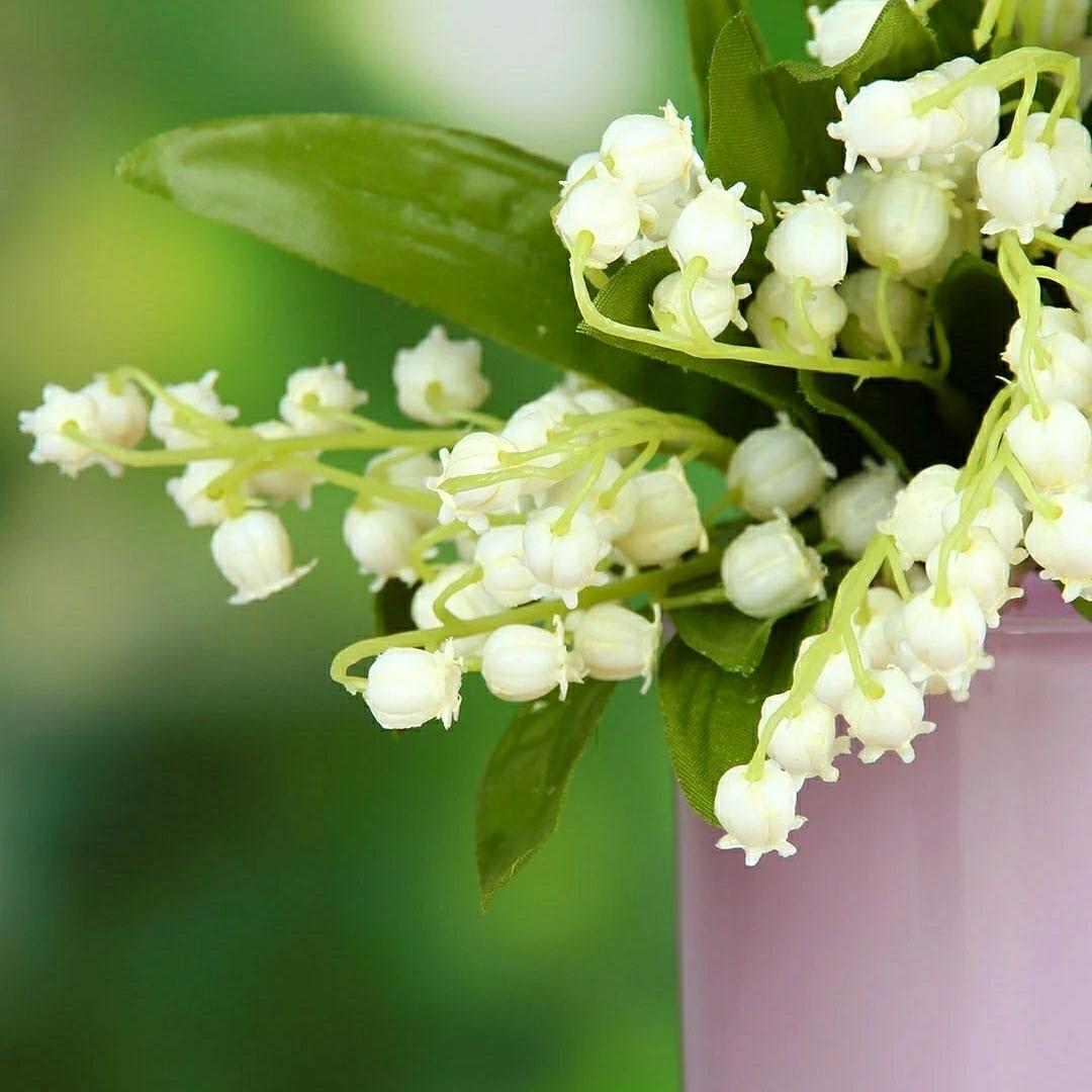 点点凡心1的厨房