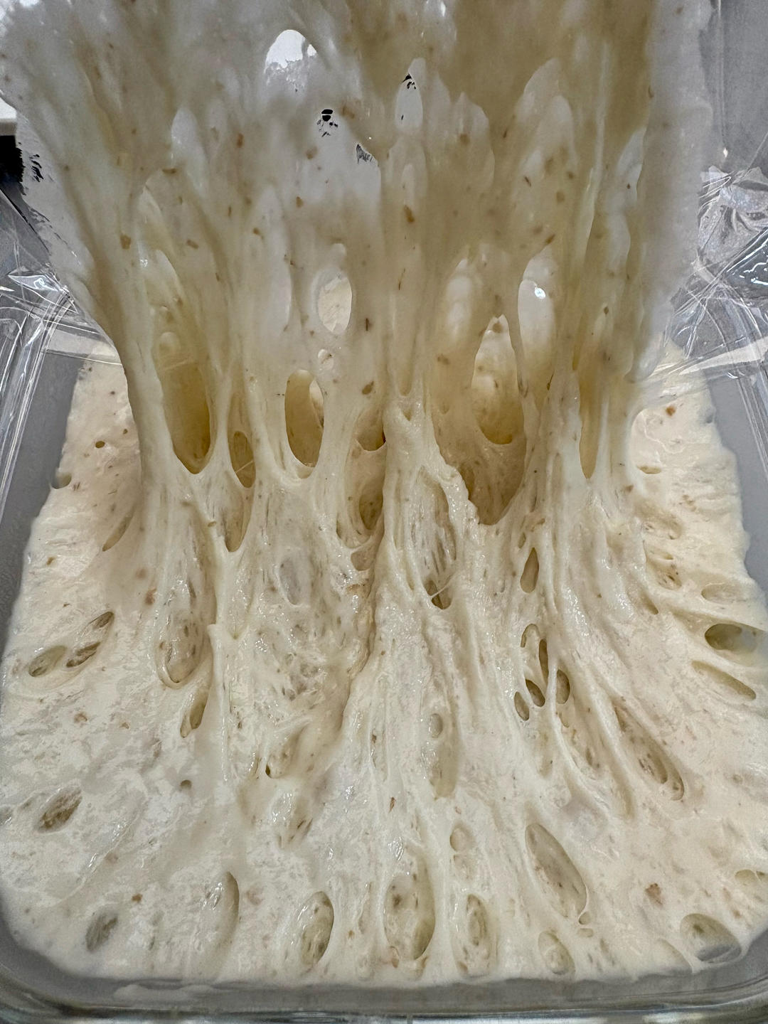 鲁邦种披萨饼底