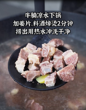 萝卜烧牛肉的做法 步骤4