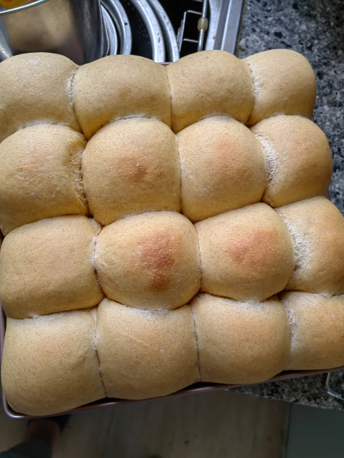 波兰种全麦面包🍞