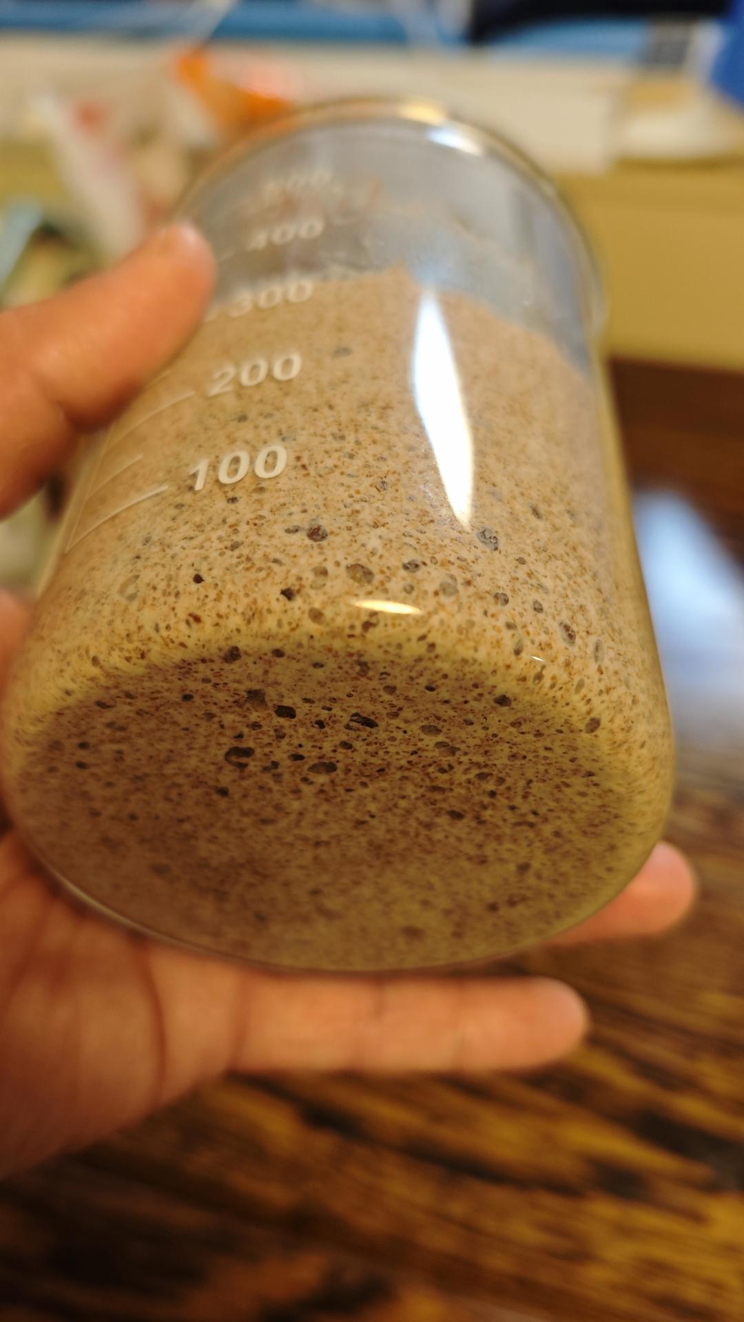 新手也能学会的全麦乡村欧包