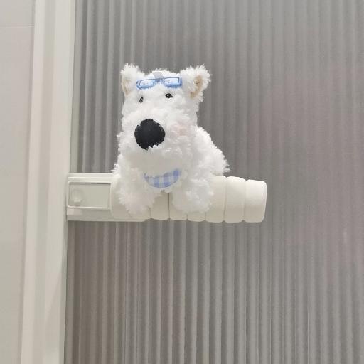 爱做饭的小阿司