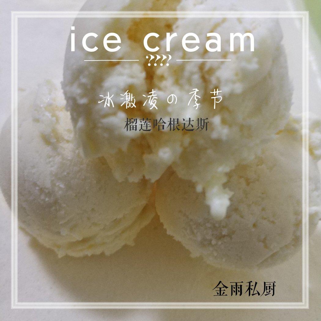 自制哈根达斯风味的冰淇淋