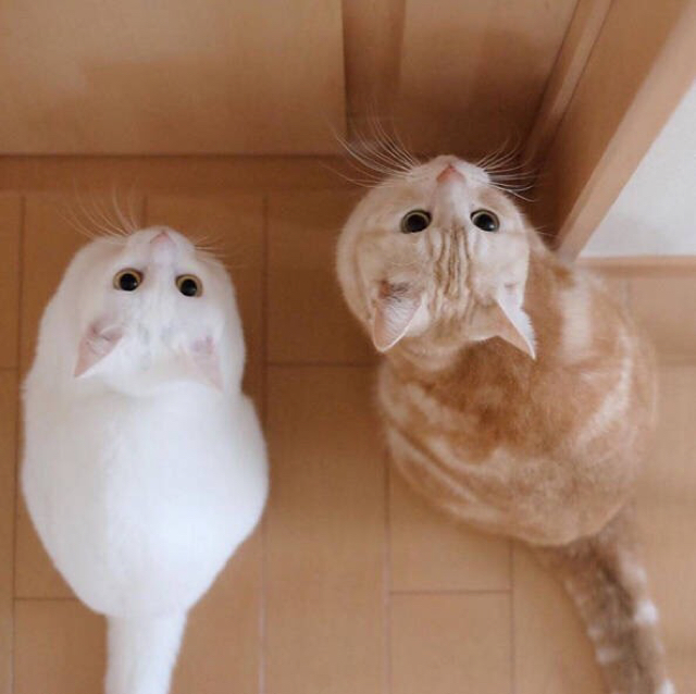 今天我是负能量Rita