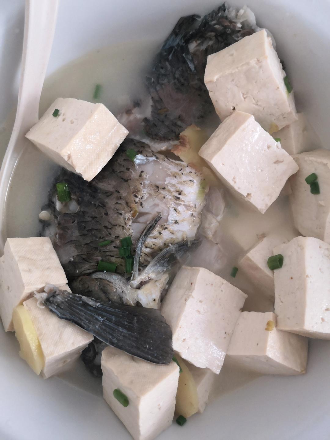 奶白鲫鱼豆腐汤|一条鱼最后的温柔