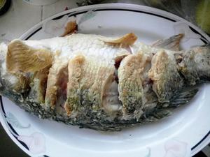 老东北鲤鱼炖粉条的做法 步骤8