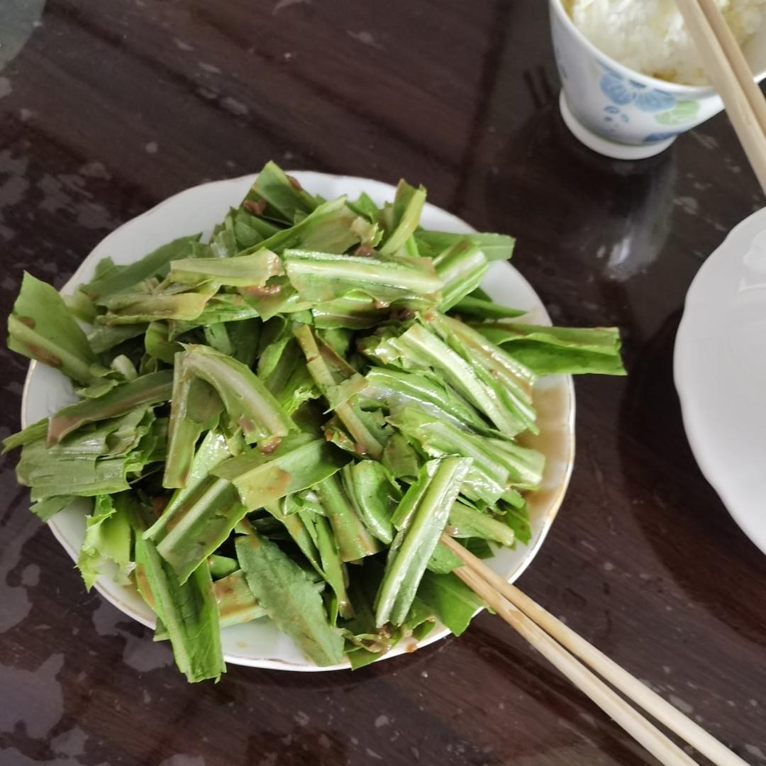麻酱拌油麦菜