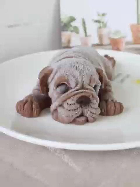 蛋糕蛋糕🍰
