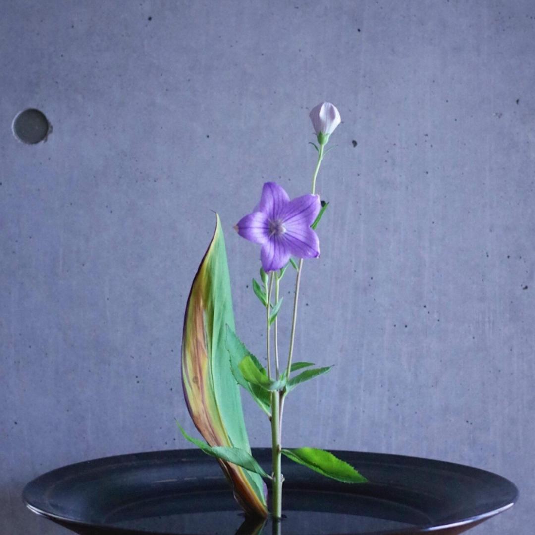 小花美食烘焙厨房