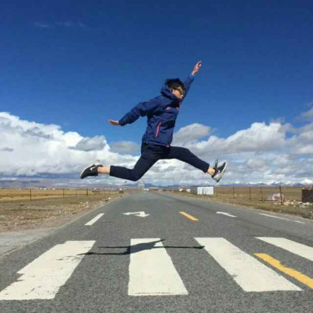 Vincent斑马
