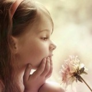 蘑菇想要旅游回家吃美食