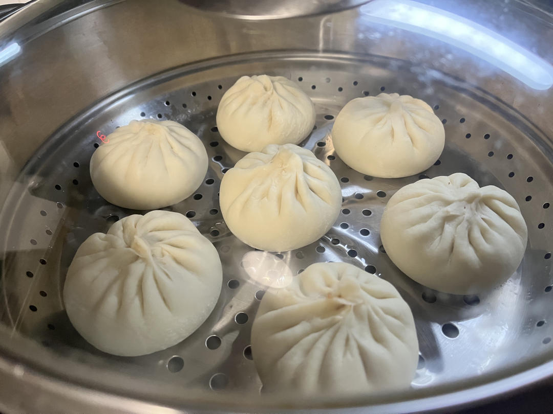 一次发酵肉包子