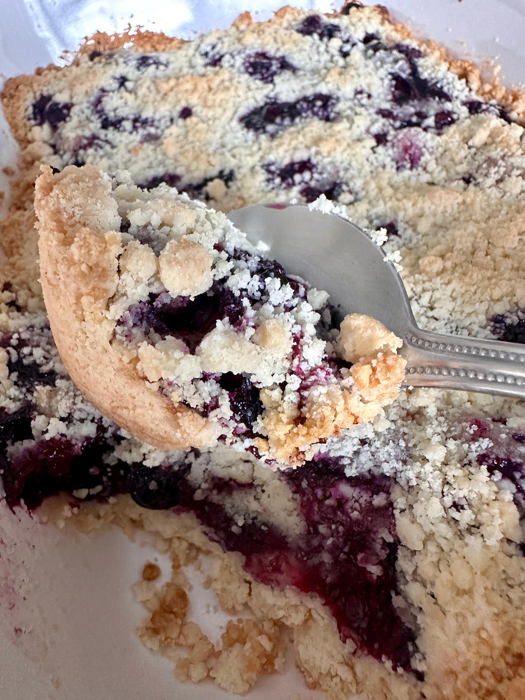 蓝莓酥粒小方块Blueberry Crumber Bars